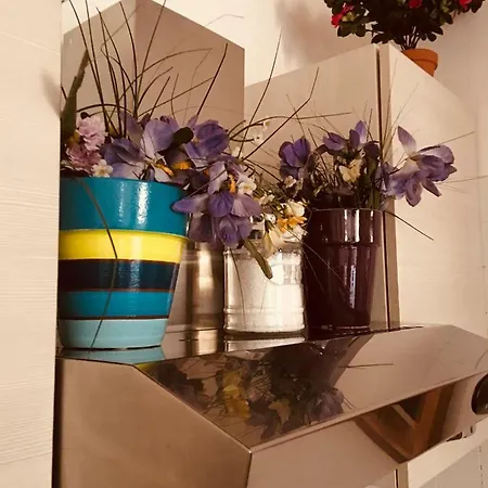 Apartament Barbarani *